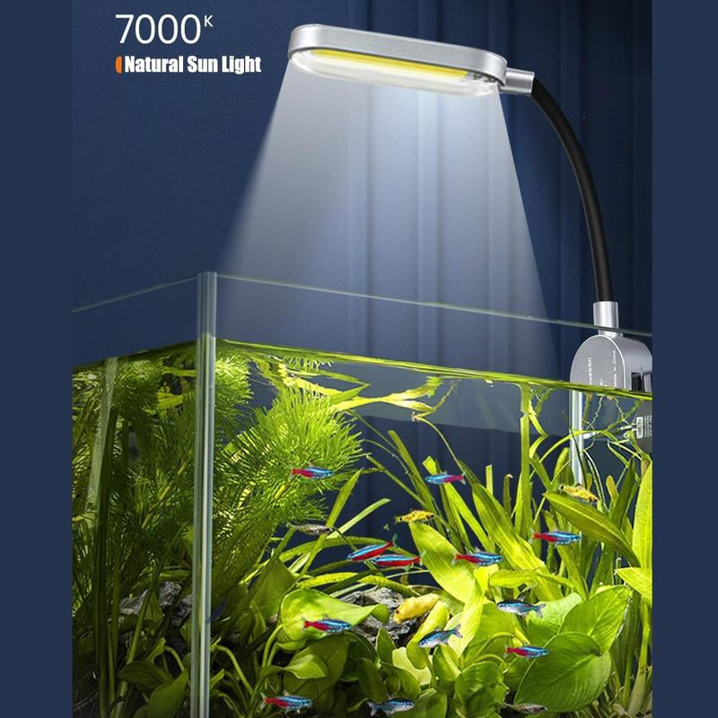 Craftsboys 1.5Gal Nano Glass Fish Tank with Filter & LED Light - Perfect for Betta Fish Aquascaping!