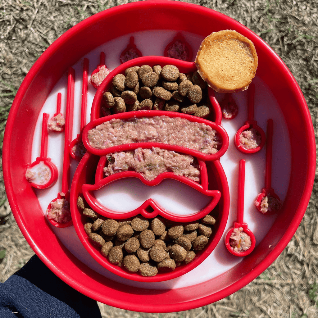 Slow Feeder Dog Bowls