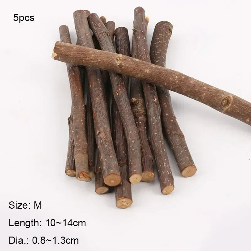 Natural Apple Wood Chew Sticks for Small Pets 5/10/40 Pack - Hamster Rabbit Chinchilla Squirrel Parrot Dental Toy