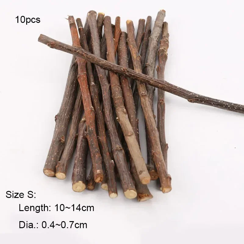 Natural Apple Wood Chew Sticks for Small Pets 5/10/40 Pack - Hamster Rabbit Chinchilla Squirrel Parrot Dental Toy