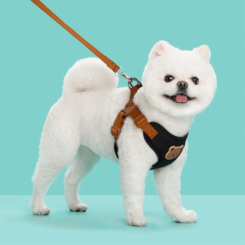 Adjustable No-Pull Dog Harness and Leash Set — Anti-Escape Pet Harness for Walking and Travel