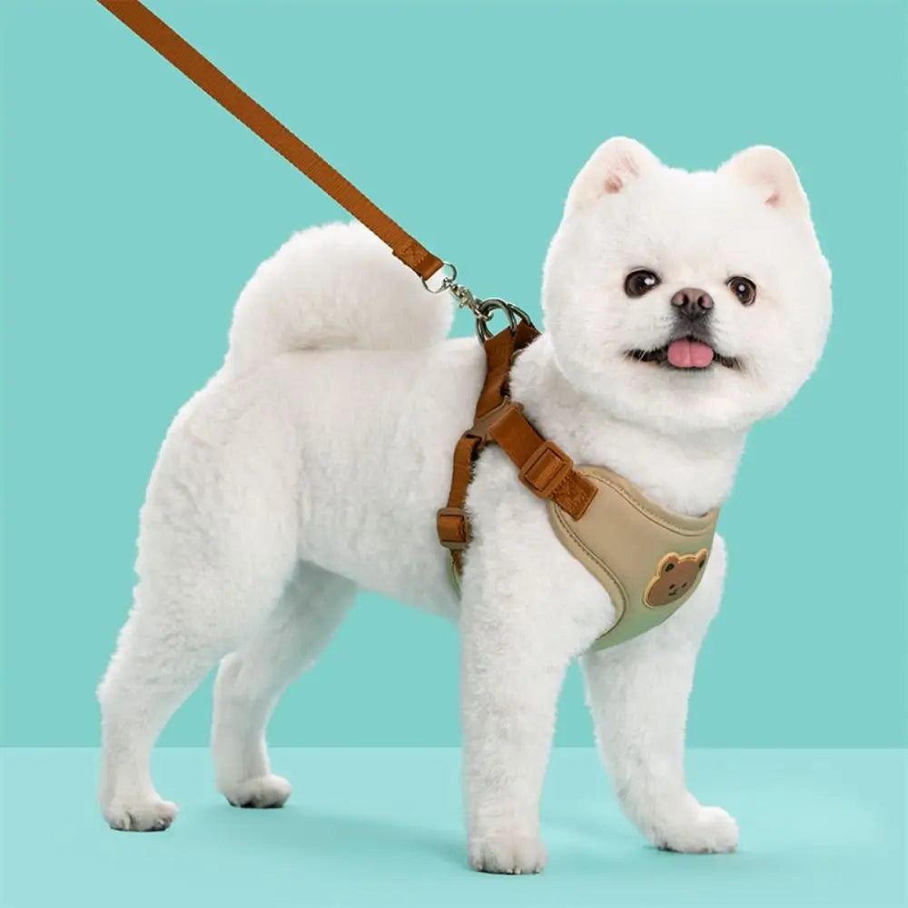 Adjustable No-Pull Dog Harness and Leash Set — Anti-Escape Pet Harness for Walking and Travel