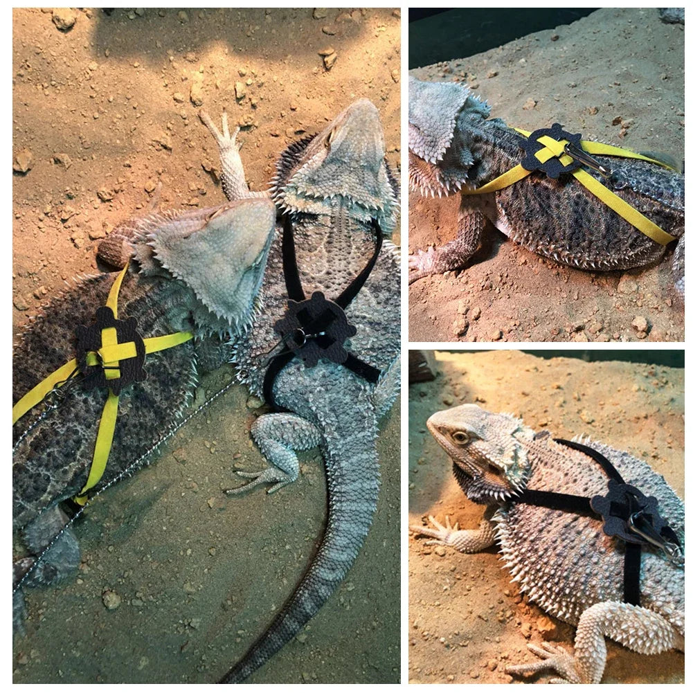 Adjustable Reptile Harness Leash 47.2 in (1.2 m) Nylon Anti-Bite Training Rope for Lizards, Turtles & Small Pets