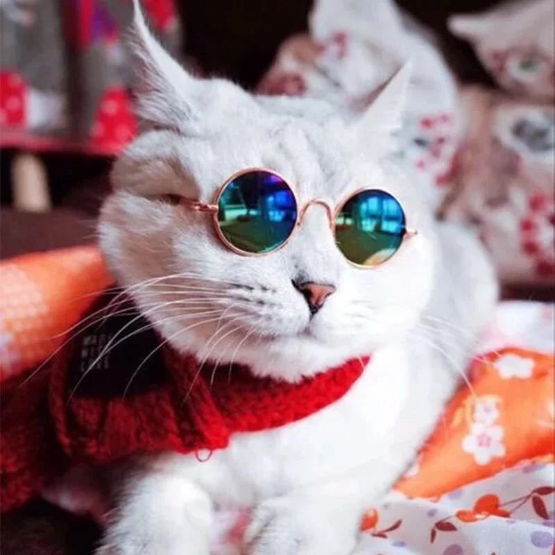 Non-Slip Pet Sunglasses for Cats and Small Dogs, Cute Cat Glasses Cosplay Photo Props