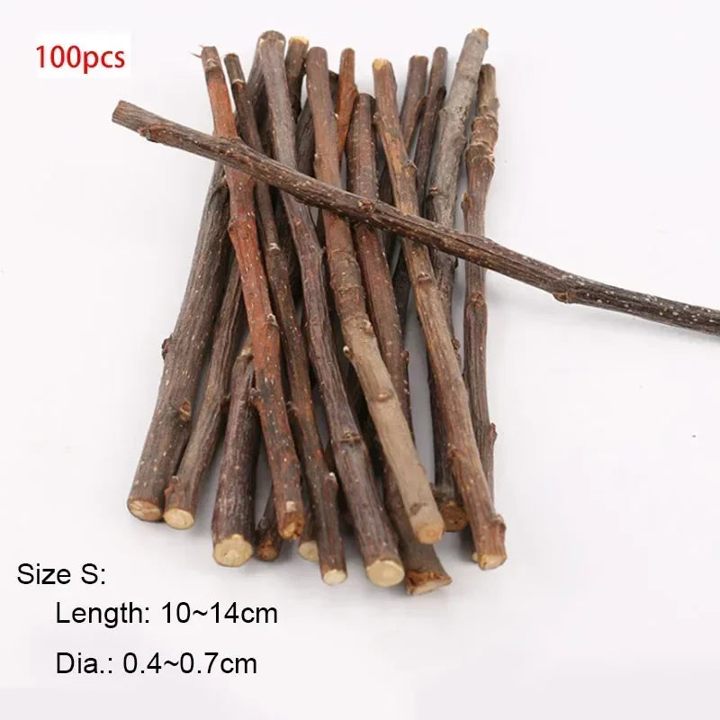 Natural Apple Wood Chew Sticks for Small Pets 5/10/40 Pack - Hamster Rabbit Chinchilla Squirrel Parrot Dental Toy