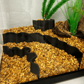 Aquarium or Terrarium Substrate Cliffs Combo Pack | Separate Substrate Layers in Aquariums or Terrariums to Create Cliffs & Depth