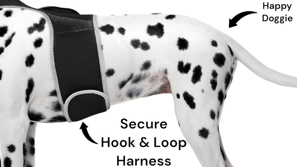 Collar Rechargeable Portable GPS Tracking Devices for Pets GSM Locator Size:S