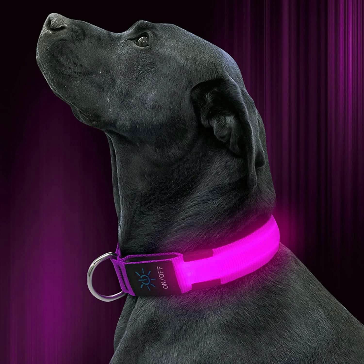 LED Pet Collar