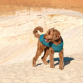 Fashion Pet Vest for Dogs